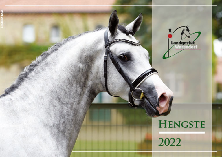 Stallion Catalogue 2022