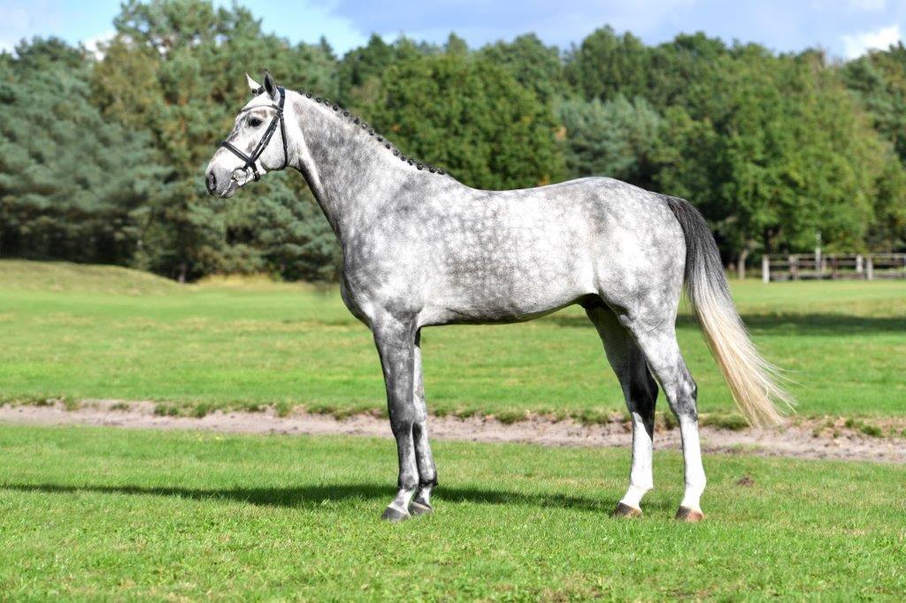 Valensky