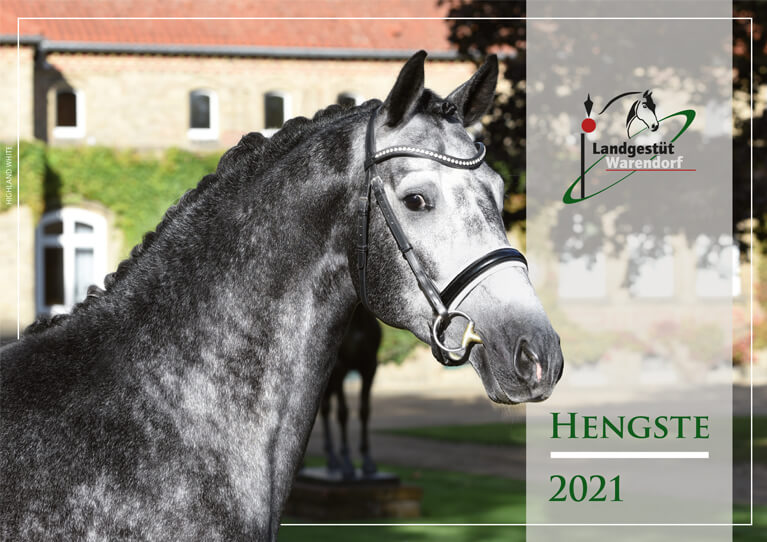 Stallion Catalogue 2021