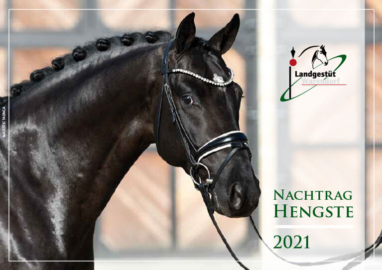 Stallion Catalogue 2021 addendum