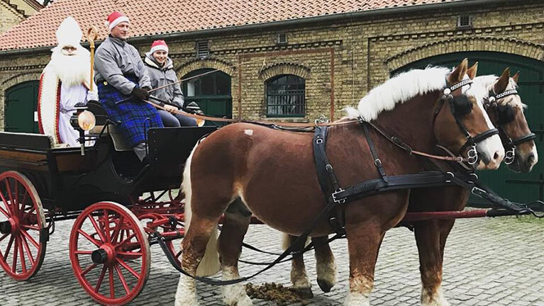 Nikolaus wird vom Landgestüt gefahren