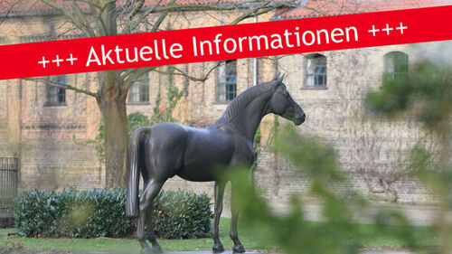In Kraft Treten Englisch In Kraft Treten Englisch