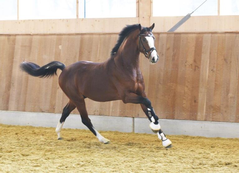 Global Dancer
