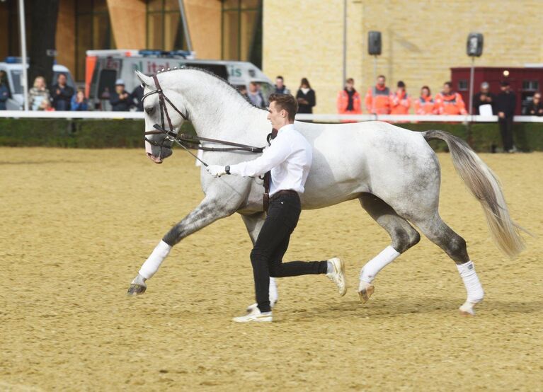 Charmeur Blanc